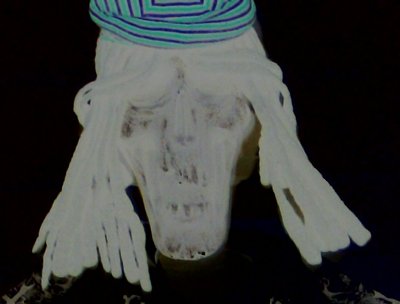 Skully, my mascot