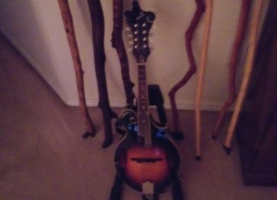 The Loar