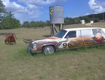 South Texas Horned Caddie 