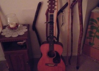 The Martin 