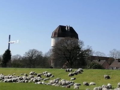 sounds of niederrhein photo