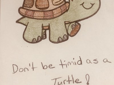 Donâ€™t be timid as a turtle !ï¿¼