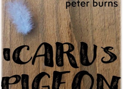 Icarus Pigeon