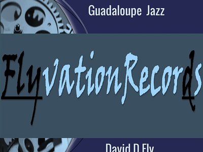 FlyvationRecords photo