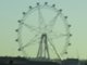 URL-1599702333.jpg