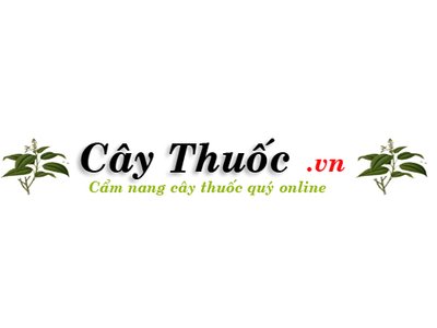 Thảo dược An Quốc Thái photo