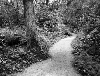 Henry Doss photo