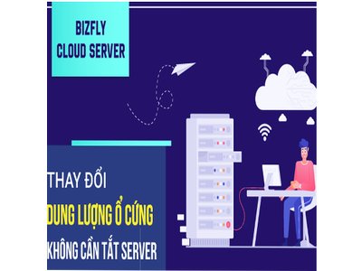 bizflyserver photo