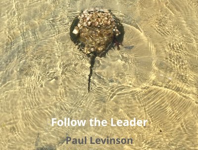 Paul Levinson photo