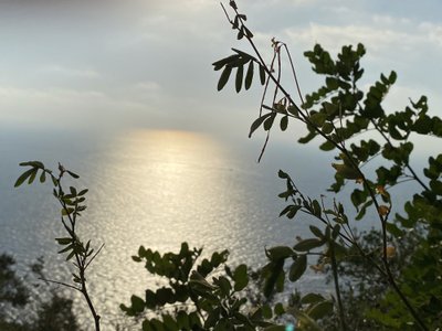 greyVision photo