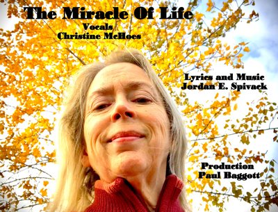 The Miracle Of Life feat. Christine McHoes single cover
