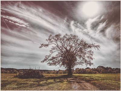 Edgar Allen Lee photo