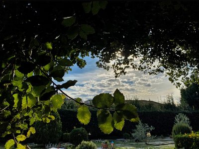 greyVision photo