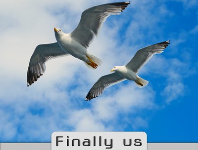 Finally Us