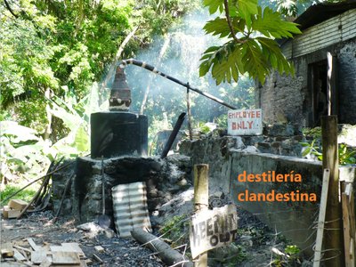 destilerÃa clandestina