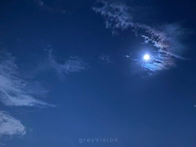 greyVision photo