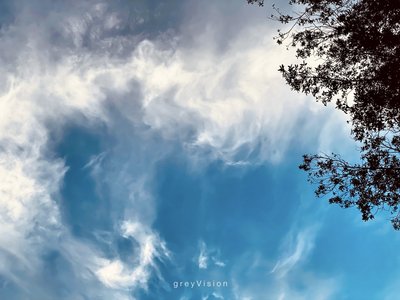 greyVision photo
