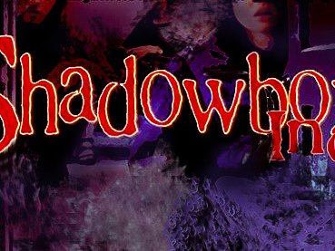 Shadowbox Inc photo