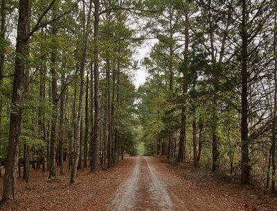 Jim Pollock photo