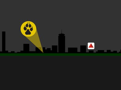 Underdog photo