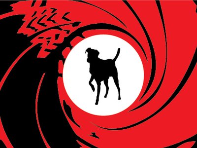 Underdog photo
