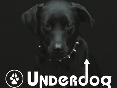 Underdog photo