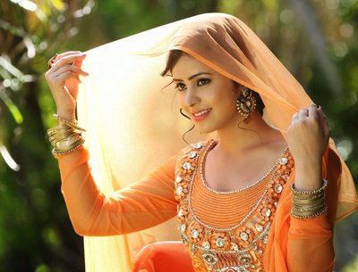 Indian Tradition Looks in Delhi