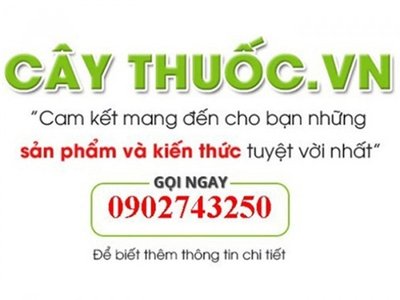 Thao duoc An Quoc Thai
