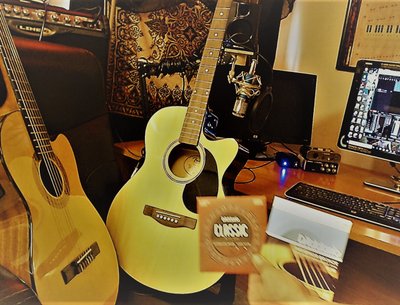 Michael A. Ruelas - Guitarist Musician Composer SHREDGUY records photo