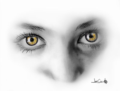 'Jewels' charcoal/graphite/watercolor pencil