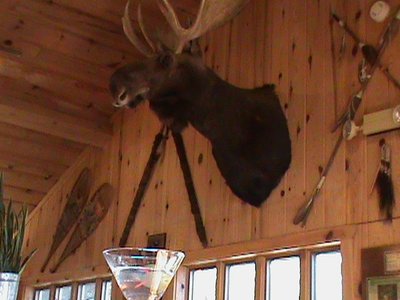 Have a drink