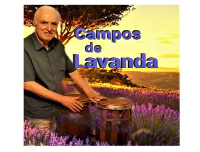Campos de Lavanda