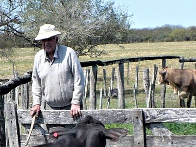 Campesino