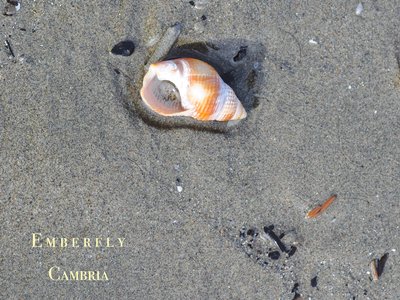 Cambria