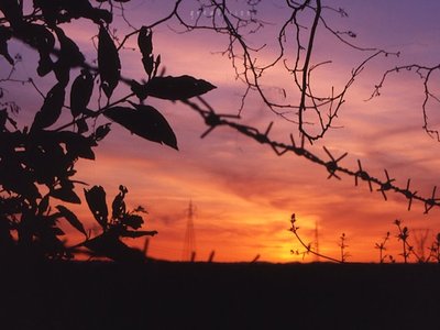 greyVision photo