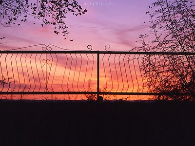 greyVision photo