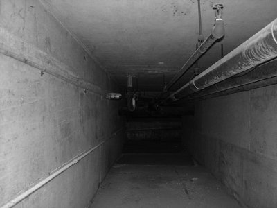 S.C.Land photo