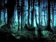 Secrets of Trees