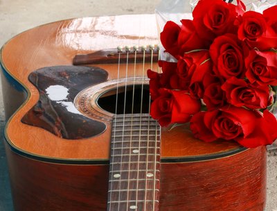 guitar rose