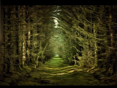 Secrets  of  the Trees 2