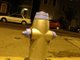 best fire hydrant I've seen in a week