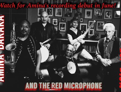 THE RED MICROPHONE photo
