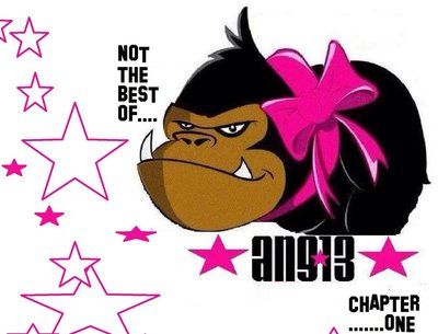 Purchase at : https://ang13.bandcamp.com/album/not-the-best-of-ang13-2