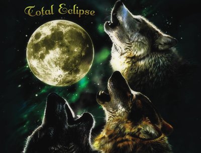 Total Eclipse 'Enemy Enemy' LP