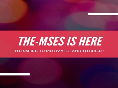 THE-MSES photo