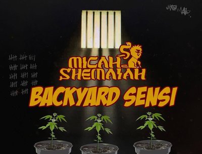 MICAH SHEMAIAH photo
