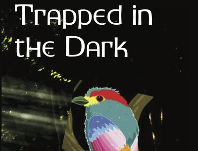 Trapped in the Dark by Joyce Ejiogu-Schmeer