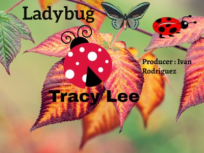 Tracy Lee photo