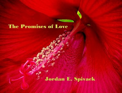 The Promises Of Love single cover