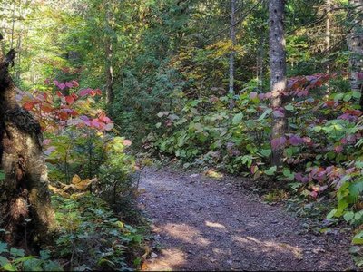 Voodoo Garden photo